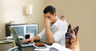 Illustration for article titled On Working from Home: une petite diatribe
